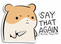 Say That Again
